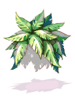莎蔓芭亞物品圖片