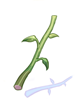 植物梗物品圖片
