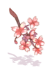 (服飾)櫻花樹枝物品圖片