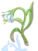 幻想花物品圖片