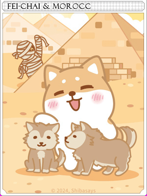 廢柴與沙漠之城卡片卡片插畫