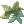 羅勒遊戲圖示