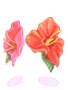 芙蓉物品圖片