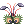 (服飾)朵賽拉髮夾遊戲圖示